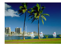 Hawaii ash scatterings