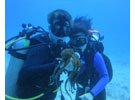 Honolulu tour, scuba diving school