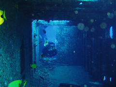 Hawaii scuba diving