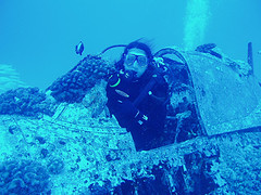 Hawaii scuba diving tours