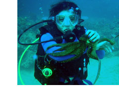 Hawaii scuba diving