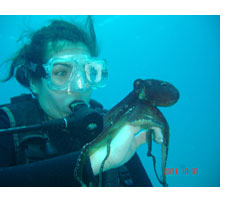 scuba diving lessons Honolulu