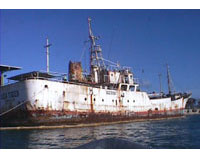 Sea tiger Shipwreck Honolulu, Hawaii