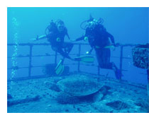 Sea tiger Shipwreck Honolulu, Hawaii