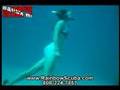 Scuba video, Diver Attacked underwater by Unknown!