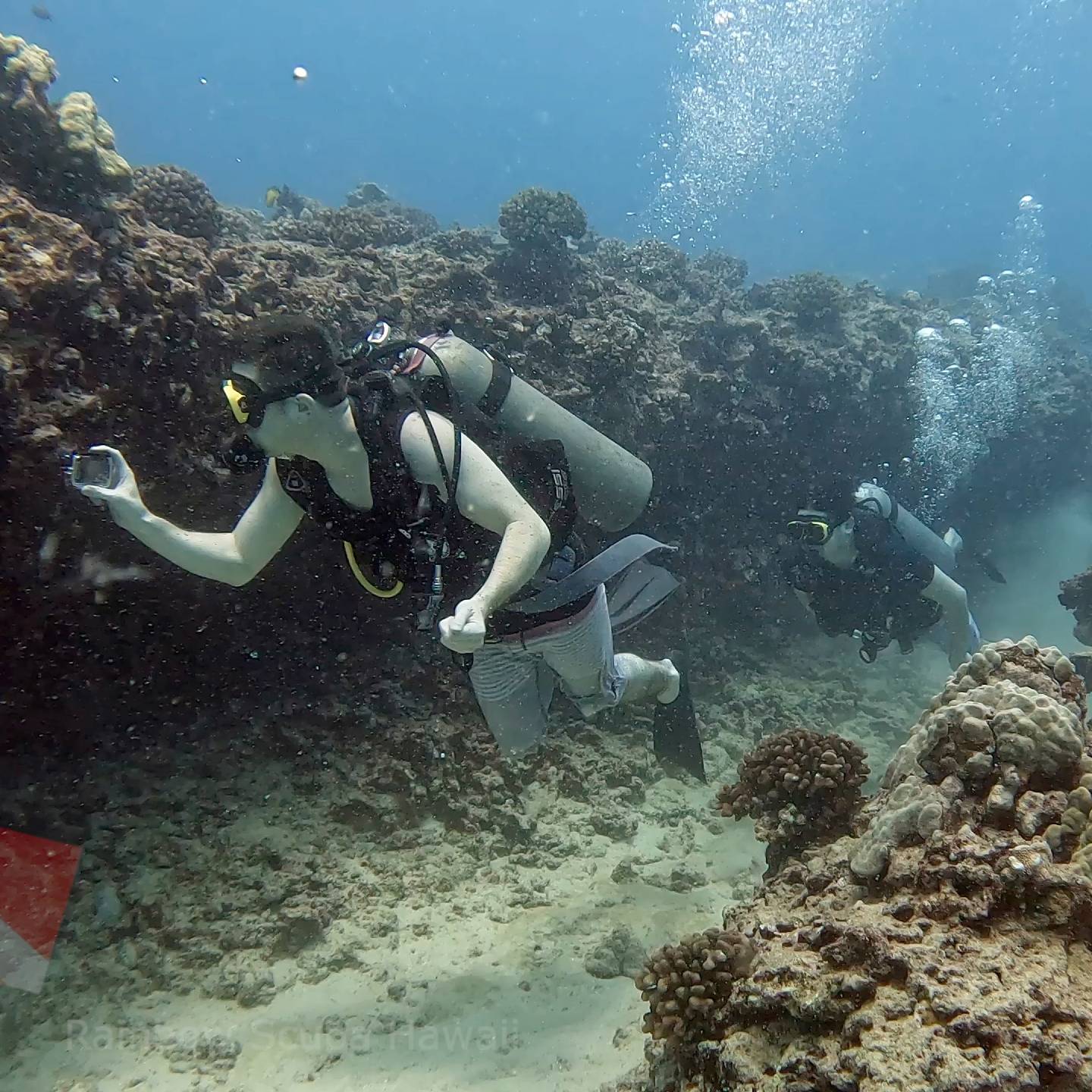 Kewalo Pipe dive site in Honolulu