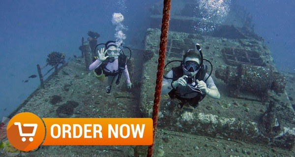 Sea Tiger Shipwreck/Reef charter