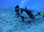 Hawaii Scuba divng 12