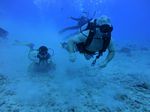 Hawaii Scuba divng 13