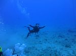 Hawaii Scuba divng 14