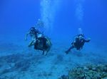 Hawaii Scuba divng 16