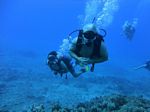 Hawaii Scuba divng 17