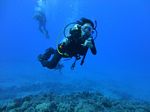 Hawaii Scuba divng 18