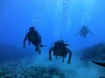 Hawaii Scuba divng 22