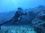 Hawaii Scuba divng 23