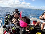 Hawaii Scuba divng 02