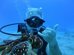 Hawaii Scuba divng 31