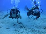 Hawaii Scuba divng 40