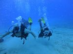 Hawaii Scuba divng 41