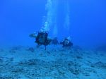 Hawaii Scuba divng 42