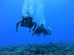 Hawaii Scuba divng 44