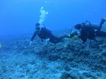 Hawaii Scuba divng 45