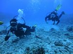 Hawaii Scuba divng 47