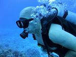 Hawaii Scuba divng 48