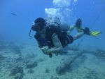 Hawaii Scuba divng 15