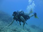 Hawaii Scuba divng 16