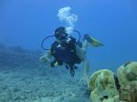 Hawaii Scuba divng 17