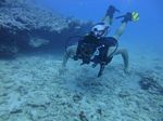 Hawaii Scuba divng 18