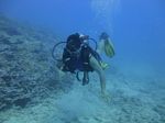 Hawaii Scuba divng 19