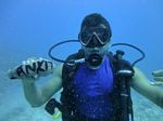 Hawaii Scuba divng 21