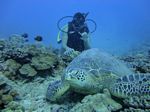 Hawaii Scuba divng 23