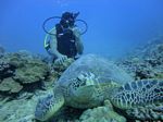 Hawaii Scuba divng 24