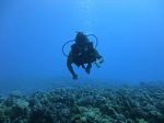 Hawaii Scuba divng 27