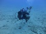 Hawaii Scuba divng 31