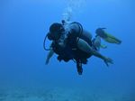 Hawaii Scuba divng 32