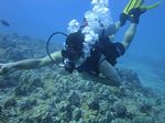 Hawaii Scuba divng 37