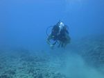 Hawaii Scuba divng 39