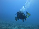 Hawaii Scuba divng 40