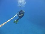 Hawaii Scuba divng 41