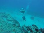 Hawaii Scuba divng 15