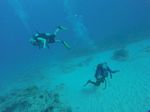 Hawaii Scuba divng 17