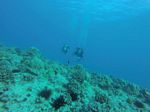 Hawaii Scuba divng 18