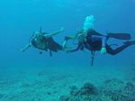 Hawaii Scuba divng 23