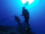 Hawaii Scuba divng 31