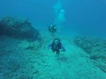 Hawaii Scuba divng 03