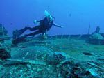 Hawaii Scuba divng 51